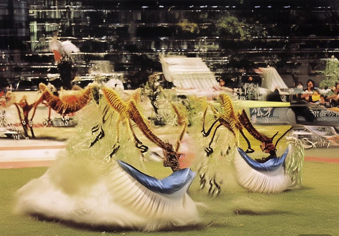 阿根廷vs委内瑞拉：南美足球盛宴，智慧与策略较量